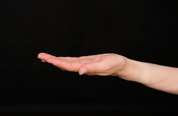 Wall Mural - The woman holds out an empty palm