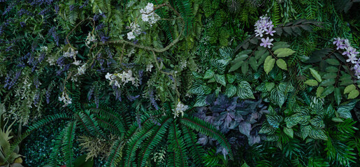 Group of dark green tropical leaves background, Nature Lush Foliage Leaf Texture, tropical leaf.