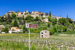 Typical vineyard with Wine road (Route Touristique des Cotes du Rhone) near Faucon, Cotes du Rhone, France