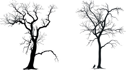 Poster - Naked tree. Winter trees silhouette, dead nature and empty black trunks