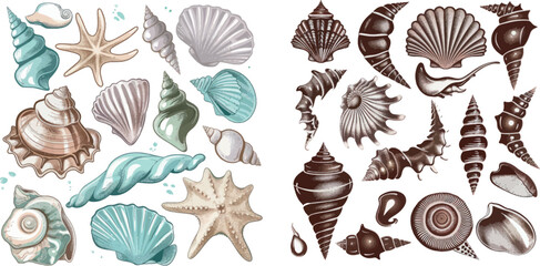 Poster - Sea shells and pearl seashell silhouettes