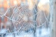 Frost patterns spider-webbing across a windowpane