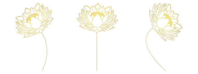 Vector lotus flower 2