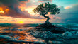 A bonsai tree standing on a rock in sea on beautiful sunset background.