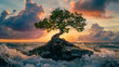 A bonsai tree with big roots standing on a rock in sea on beautiful sunset background.