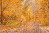 Fototapeta Tęcza - Autumn forest through which the tram travels, Kyiv and rails