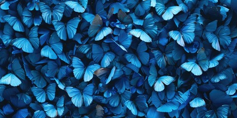 Poster - Blue butterflies on a black background, perfect for nature-themed designs