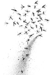 Poster - A group of mosquitos flying through the air. Suitable for pest control or nature concepts