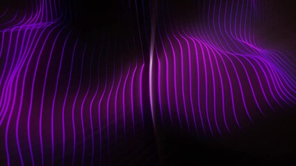 Wall Mural - looped dark pink black fuchsia glowing background. space for text.  loop wavy lines.  Motion Graphic Background Design