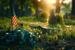 The American flag in the cemetery