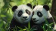 Two adorable panda bears sitting side by side. Perfect for nature or wildlife themed projects