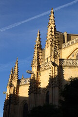 Wall Mural - Catedral de Segovia