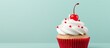 A cupcake adorned with white buttercream decorative icing and a cherry atop it Perfect copy space image
