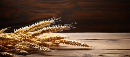 Fototapete - A copy space image of wheat ears arranged on a wooden table with a sheaf of wheat in the background