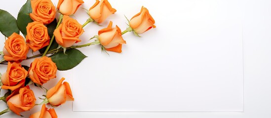Aufkleber - A copy space image featuring orange roses and a greeting card against a white background