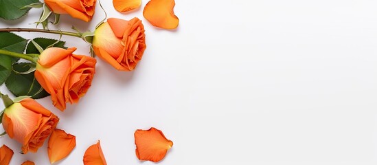 Aufkleber - A copy space image featuring orange roses and a greeting card against a white background