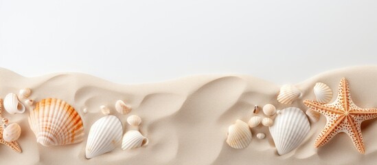 Aufkleber - A copy space image featuring a sandy background adorned with shells and ample white space for text