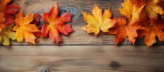 Fototapete - A close up of autumn maple leaves on a wooden background providing copy space for images