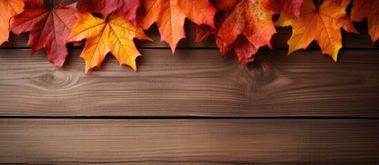 Fototapete - A close up of autumn maple leaves on a wooden background providing copy space for images