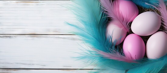 Aufkleber - A copy space image featuring blue or turquoise chicken eggs displayed on a white wooden background nestled in a pink nest The composition is complemented by a pink feather and a vibrant green plant