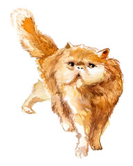 Ginger cat isolated on white.Watercolor domestic cat painting for branding.