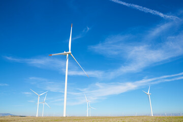 Wind turbine generators for susainable electricity production