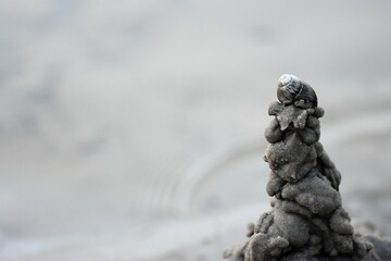 Wall Mural - sand castle with shell on top