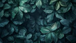 © ART IS AN EXPLOSION. - A close up of green leaves with a dark background