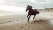 the spirit of adventure with a dynamic shot of a horse galloping along a sandy beach, kicking up spray as it races across the shoreline.