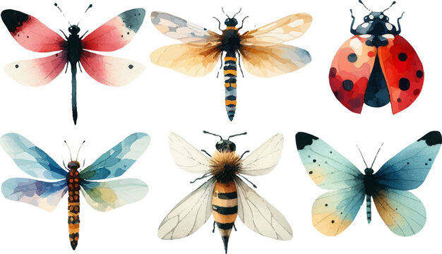 set of watercolor butterflies, dragonflies and various insects in vector