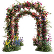© Rafay - Garden flower arch on isolated transparent background