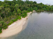 Aerial view tropical coconut palm tree forest on sea beach wave white sand beach
