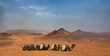 Camel caravan in the Ouzina desert in Morocco