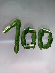 Number 100 made with leaves 