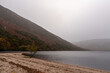 Beautiful panoramic view with lake, beach, trees, valley and rocky steep mountain. Bad Depressing weather. Lough Dan lake in Wicklow Mountains, Ireland