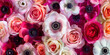 Vibrant Petal Medley  A Riot of Colorful Ranunculus and Anemones