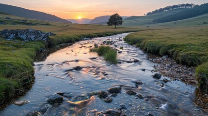 Wall Mural - A river with a tree in the middle of it. The sun is setting in the background. The water is calm and clear