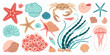 Hand drawn sea life elements set. Aquatic animals, anemones, crab, jellyfish, algae, seashells, starfish, sea horse. Trendy flat doodle set underwater ecosystem. Vector illustration