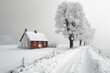 Winter white foggy landscape fantasy: red house immersed in a white snowy countryside near a road flanked by high frosted trees