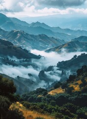 Canvas Print - Misty mountains and hills with trees