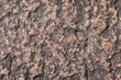 Close-up background photo of a granite stone