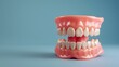 Detailed View of Artificial Dental Prosthetic Model on Solid Background