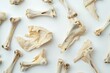 scattered small chicken bones on plain white background food waste and scraps concept