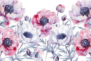 Poster - Beautiful pink and white flowers on a clean white background, perfect for a variety of design projects