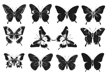 Poster - A collection of colorful butterflies on a plain white background. Perfect for a variety of design projects