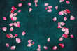Pink rose petals on elegant green texture background with copy space.
