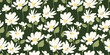 Abstract floral seamless pattern with chamomile. Trendy hand drawn textures. Modern abstract design for,paper, cover, fabric and other use