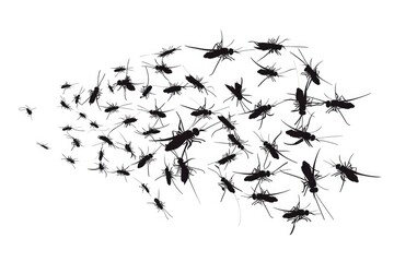 Poster - A group of mosquitos flying in the air. Suitable for educational materials on insects