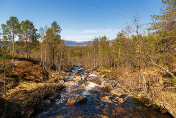 Wall Mural -  northern norway:nature sceneries on the road from Fauske to Narvik