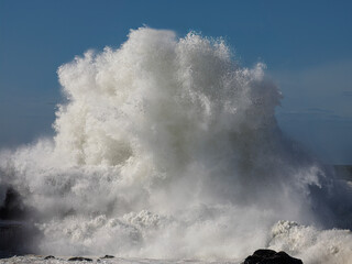 Canvas Print - Big stormy wave splash